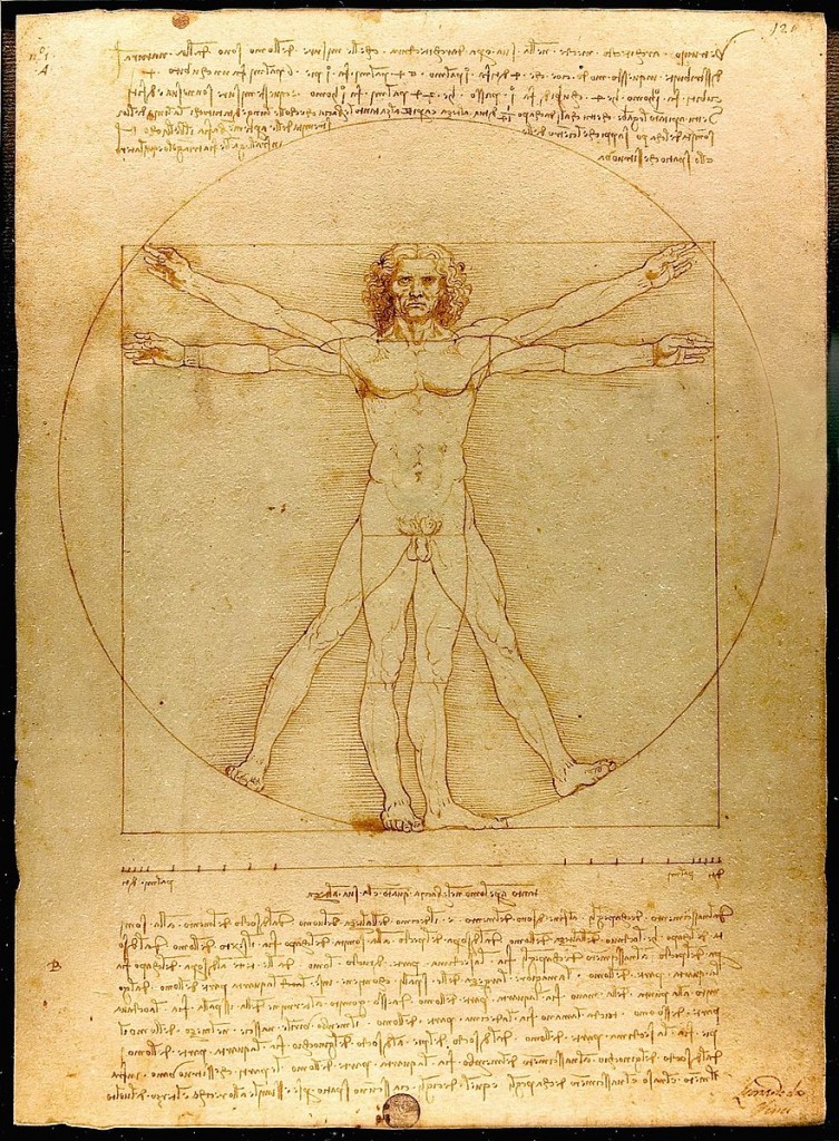 Leonardo da Vinchi. Vitruvian man.